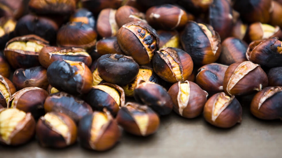 Tips for foraging in autumn: make roasted sweet chestnuts